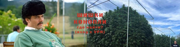 стаф Баксан