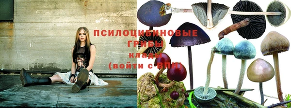 стаф Баксан