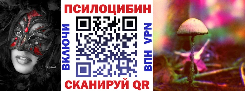 Псилоцибиновые грибы GOLDEN TEACHER  Бор 